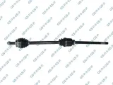 polos-prawa-gsp-244004