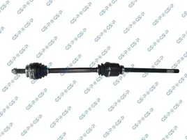 polos-prawa-gsp-244004