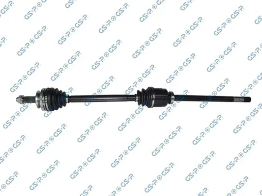 polos-prawa-gsp-244004