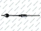 polos-prawa-gsp-244013