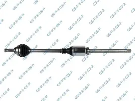 polos-prawa-gsp-244013