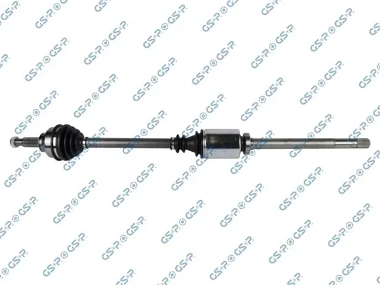 polos-prawa-gsp-244013