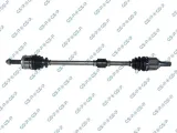 polos-gsp-239192