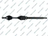 polos-prawa-gsp-221103