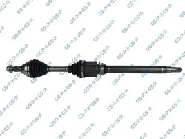 polos-prawa-gsp-221103
