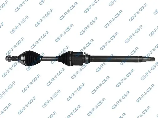 polos-prawa-gsp-221103