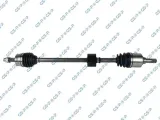 polos-prawa-gsp-217033