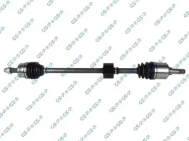 polos-prawa-gsp-217033
