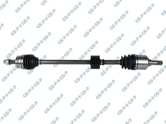 polos-prawa-gsp-217033