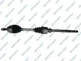 polos-prawa-gsp-210440