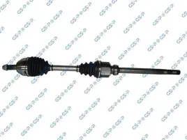 polos-prawa-gsp-210440