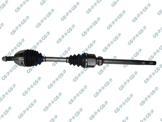 polos-prawa-gsp-210440