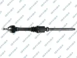 polos-gsp-210348