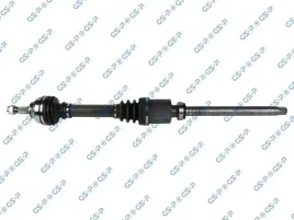 polos-gsp-210348