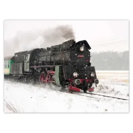 baner-135x100-pociag-ol49-59-zima