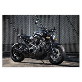 baner-155x105-harley-davidson-motocykl