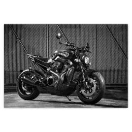 baner-155x105-harley-davidson-motocykl