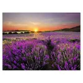 baner-135x100-lawendowa-laka