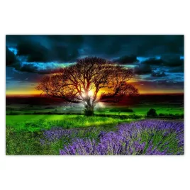 baner-155x105-drzewo-zycia