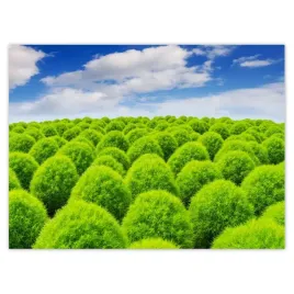 baner-135x100-zielone-spojrzenie-dolina