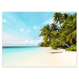 baner-135x100-tropiki-pejzaz-palmy