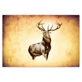 baner-155x105-jelen-z-rogami