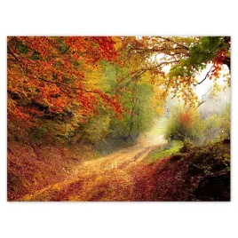 baner-135x100-pejzaz-krajobraz