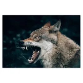 baner-155x105-wilk-wilki-wolf