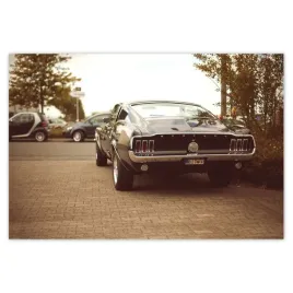 baner-155x105-ford-mustang-black-white