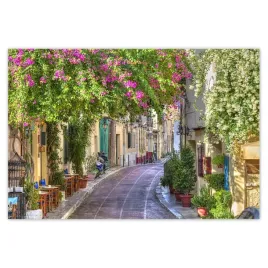 baner-155x105-grecja-dzielnica-plaka-droga-wsrod-kwiatow