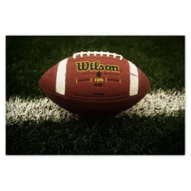 baner-120x80-pilka-do-rugby-sport