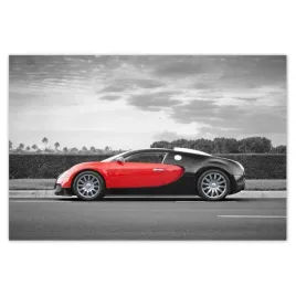 baner-120x80-sport-car