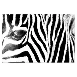 baner-120x80-zebra-paski