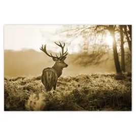 baner-185x125-jelen-w-lesie