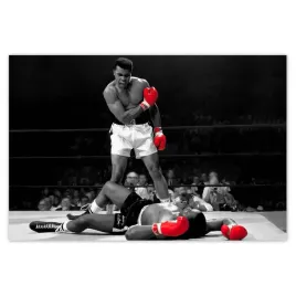 baner-120x80-muhhamad-ali-boxer-bokser