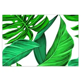 baner-185x125-soczysta-monstera-tropiki