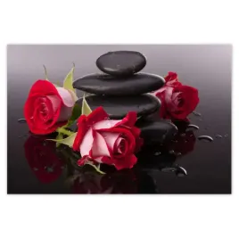 baner-120x80-roze-kolo-kamieni