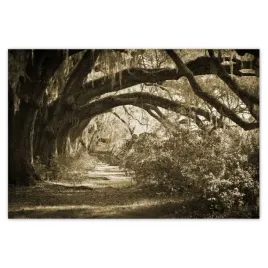 baner-185x125-deby-w-parku-sepia