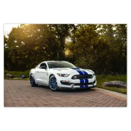 baner-185x125-sportowy-ford-mustang