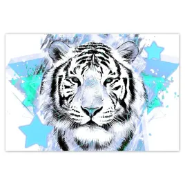 baner-185x125-tygrys-gwiazdki-turkus