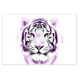 baner-185x125-delikatna-grafika-tygrys-na-bialym-tle-tiger