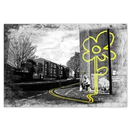 baner-185x125-banksy-zolty-kwiatek