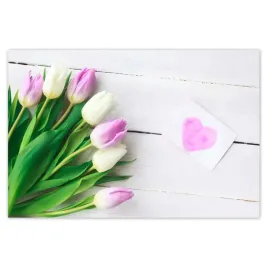baner-120x80-delikatne-tulipany