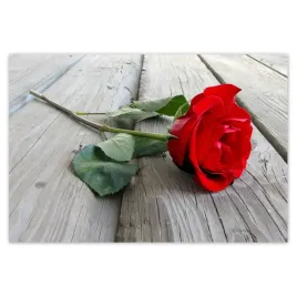 baner-185x125-roza-na-deskach