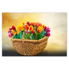baner-185x125-tulipany-kwiaty-kwiatki