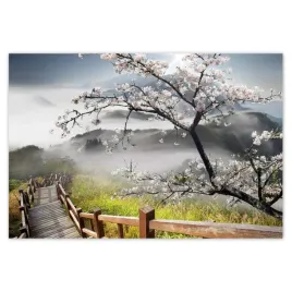 baner-185x125-japonia-kwitnaca-wisnia