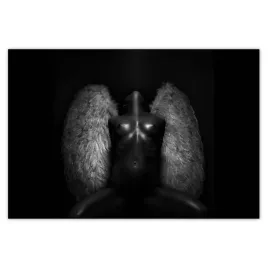 baner-185x125-akty-nagosc-milosc-foto