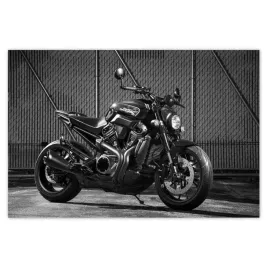 baner-120x80-harley-davidson-motocykl