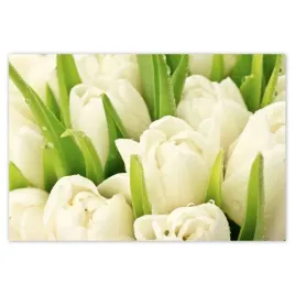 baner-185x125-delikatne-tulipany