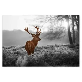 baner-120x80-dostojny-jelen-z-rogami